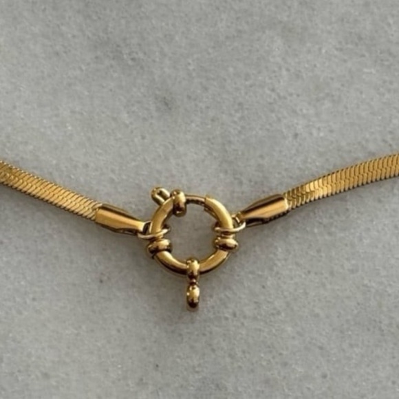 Gold Chain Link Snake Round Pendant Clasp Necklace 

Brand New - Picture 1 of 5